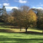 Autumn Sewerby Park