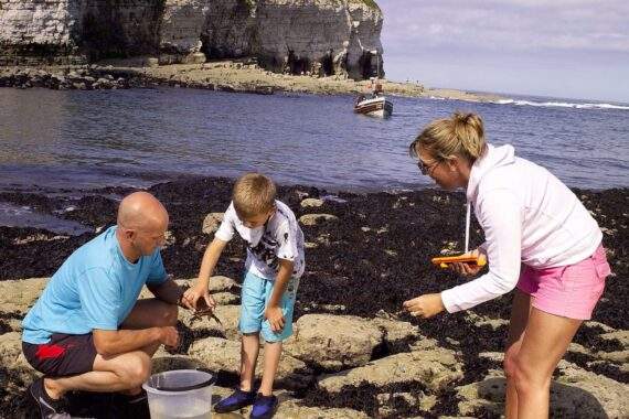 Flamborough rockpools Flamborough rockpools, Yorkshire Coast
