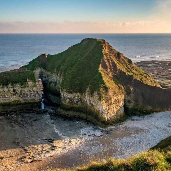 Flamborough Head. The Drinking Dinosaur Flamborough Head. The Drinking Dinosaur and seals
