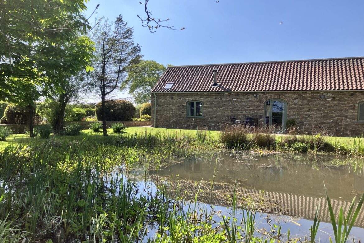 Spinney ,Summer Wildlife Pond High Barn Spinney ,Summer Wildlife Pond High Barn