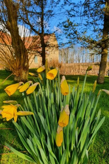 Spring High Barn 2022  SPRING HIGH BARN 2022